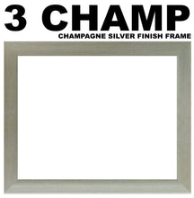 Aunt Photo Frame - Aunt Photo Frame 1269-BB 375mm x 151mm mount size  , Choices of frames & Borders