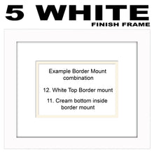 Prom Double Mounted Photo Frame 925A 450mm x 151mm mount size  , Choices of frames & Borders